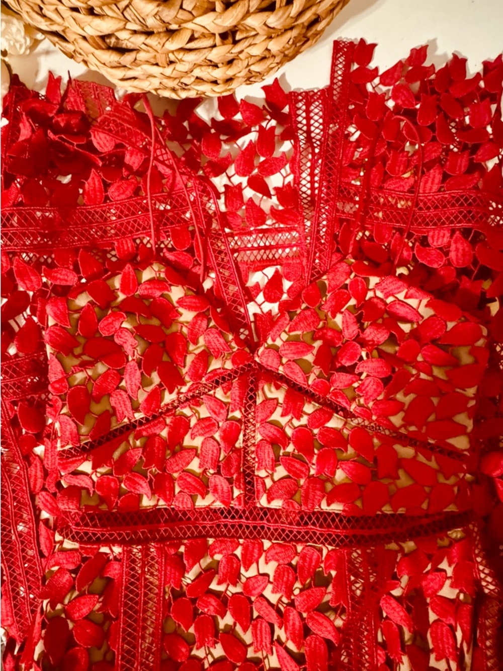 Self-Portrait Red Lace Slip Dress - Picture 13 of 15